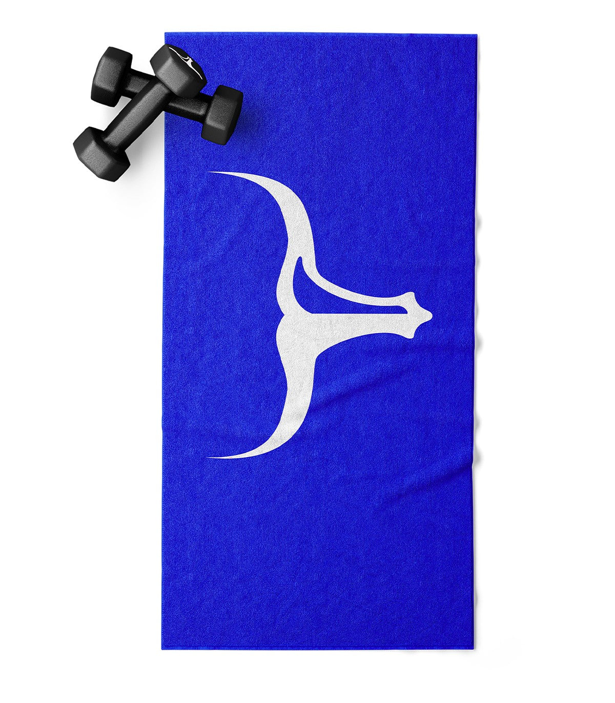 BLUE TORUS GYM TOWEL